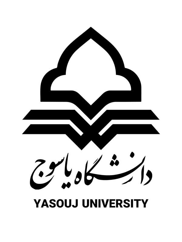 دانشگاه یاسوج